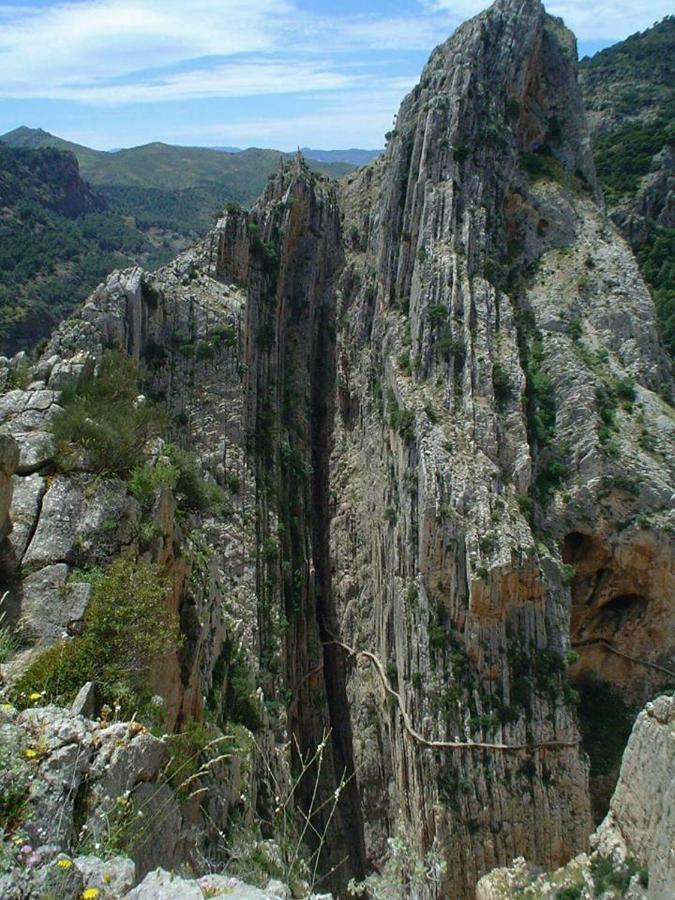 Casa Rural La Teja El Chorro Eksteriør billede